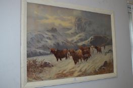 Framed Print of Highland Cattle