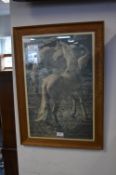 Framed Print of Stallions