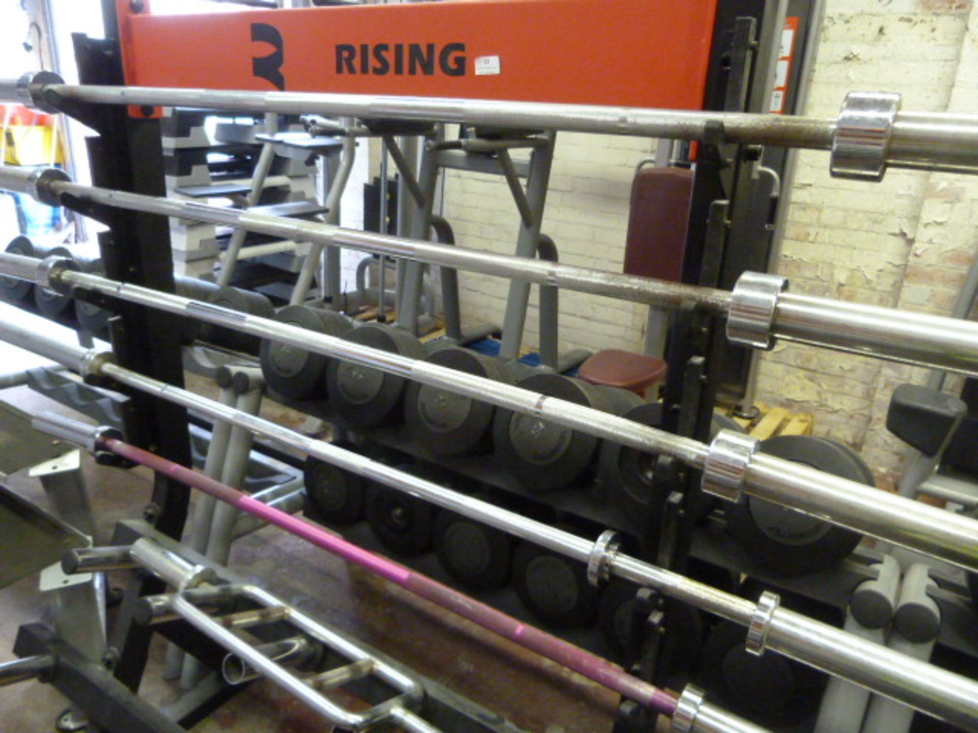 *Raisen Weights Rack with Selection of Weights