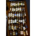 Miniature Whisky Bottles - Approx 50