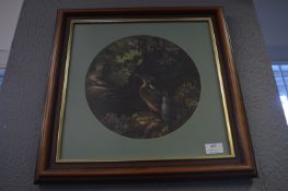 Framed Print - Kingfisher