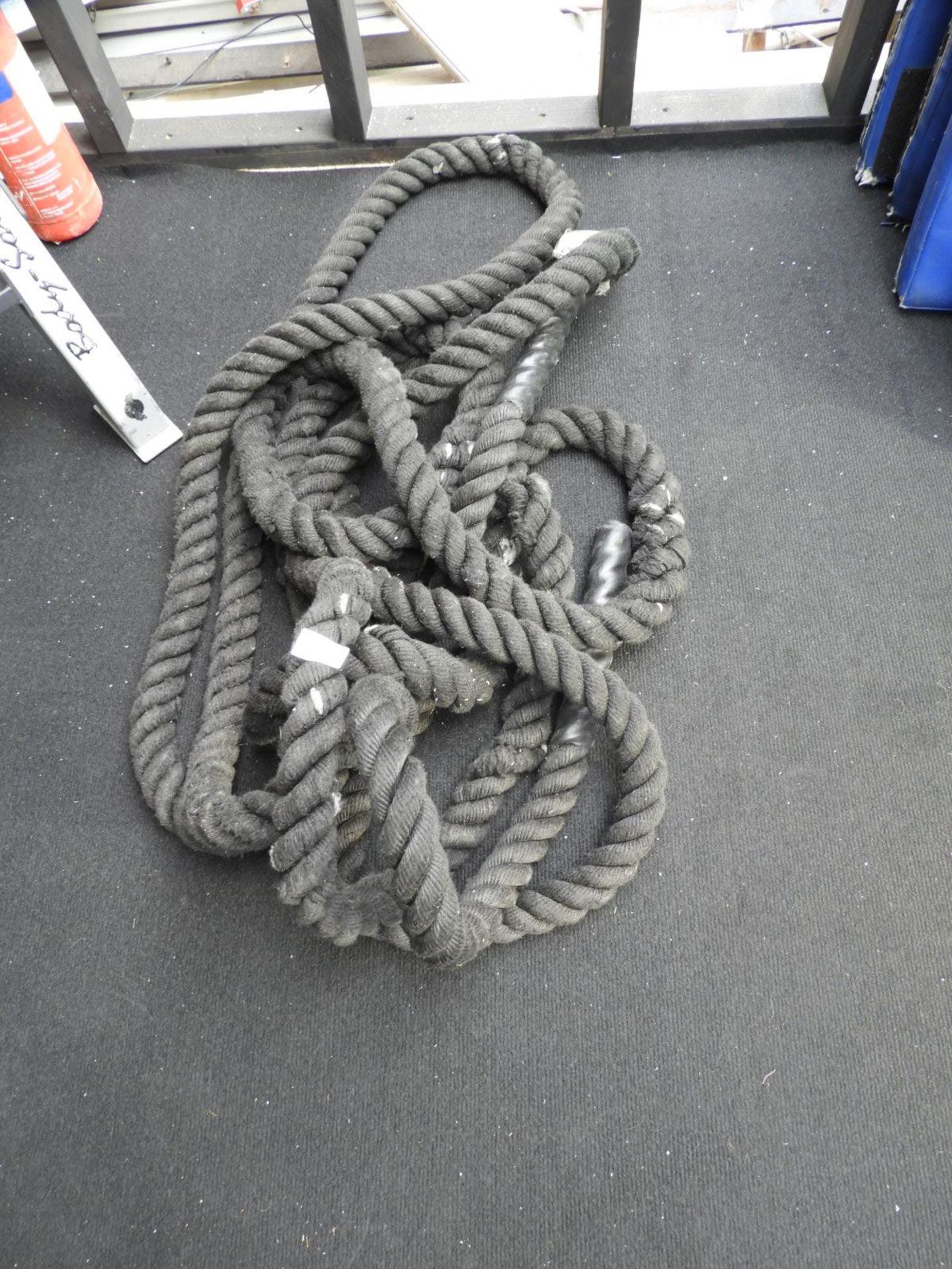 Warrior Workout Rope