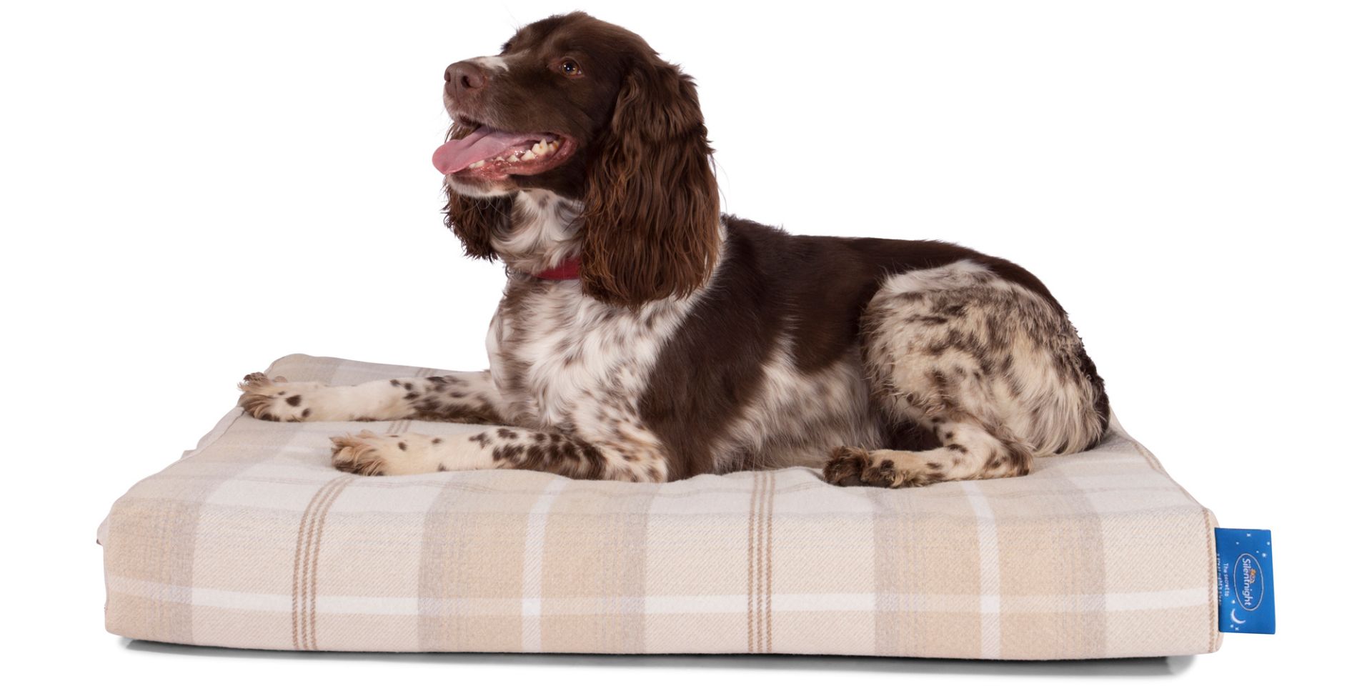 *Silentnight Supreme Scotty Dog Bed (Natural) Size