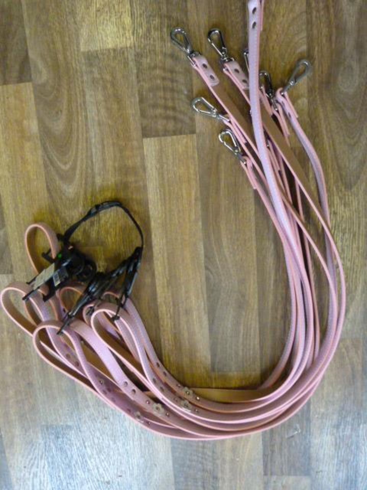 Nine Pets at Home Faux Leather Dog Leads (Small/Me