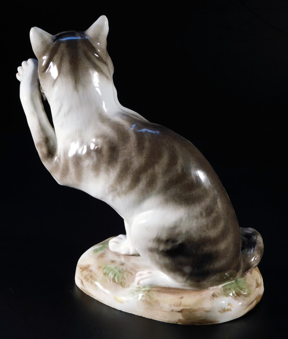 A 19thC Meissen porcelain figure of a cat, in standing pose with paw raised, with rat to mouth, in - Image 2 of 3