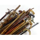 A large quantity of walking sticks, one with a carved oriental dragon handle, two duck handled