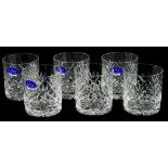 A set of six Royal Doulton crystal Georgian pattern tumblers, in fitted box.