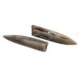 Two belemnitella belemnitey fossil formations, each of arrow form, polished, 8cm W, etc. (2)