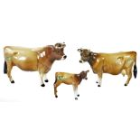 A 20thC Beswick Jersey bull, cow and calf group, Ch Dunsley Coy Boy 12cm H, Newton Tinkle and