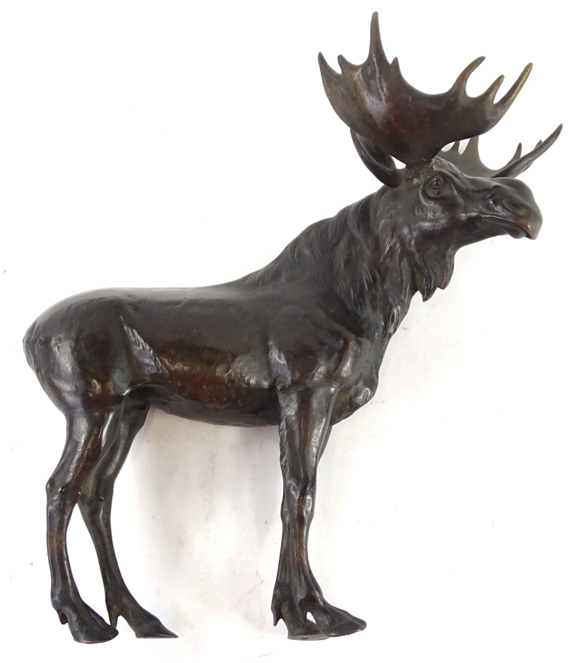 Continental School. Figure of a standing moose, bronze, 36cm H.