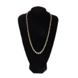 A single row natural pearl necklace, graduating from 4mm - 9mm, on an Art Deco sapphire set clasp,