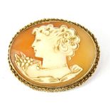 A shell cameo brooch, of maiden head and shoulders, of oval form, in yellow metal frame, with