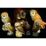 A collection of Beswick and other owls, to include a Goebel money box (8).