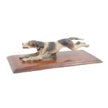 A Continental cold painted bronze figure of a running hound, on a brass spring mounted