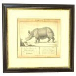 An 18thC print of an early rhinoceros, published 1739, 29cm x 32cm.