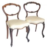 A pair of Victorian rosewood balloon back chairs, each with a padded seat on cabriole legs.