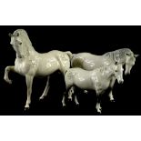 Three Beswick dappled grey horses, to include an example with a raised front hoof and a pony.