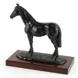 After Jeanne Rynhart. Noble Steed, bronzed resin model of a horse on a mahogany base, 29.5cm W.