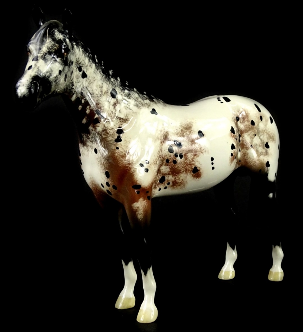 A Beswick Appaloosa stallion, second colourway.