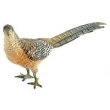 A cold painted bronze model of a pheasant, in the manner of Bergman, 20cm L.