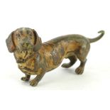 A cold painted bronze model of a dachsund, in the manner of Bergman, 7cm L. (AF)