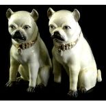 A pair of 19thC Staffordshire pottery pugs, each with a gilt collar, and open toes, (AF), 36cm H.