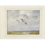 Cecil Hodgkinson (British, 1895-1979). Tufted duck over the marsh, watercolour, signed, 22.5cm x