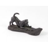 An Heredities bronze sculpture of a Beagle, modelled by Jean Spouse, expectantly looking into a