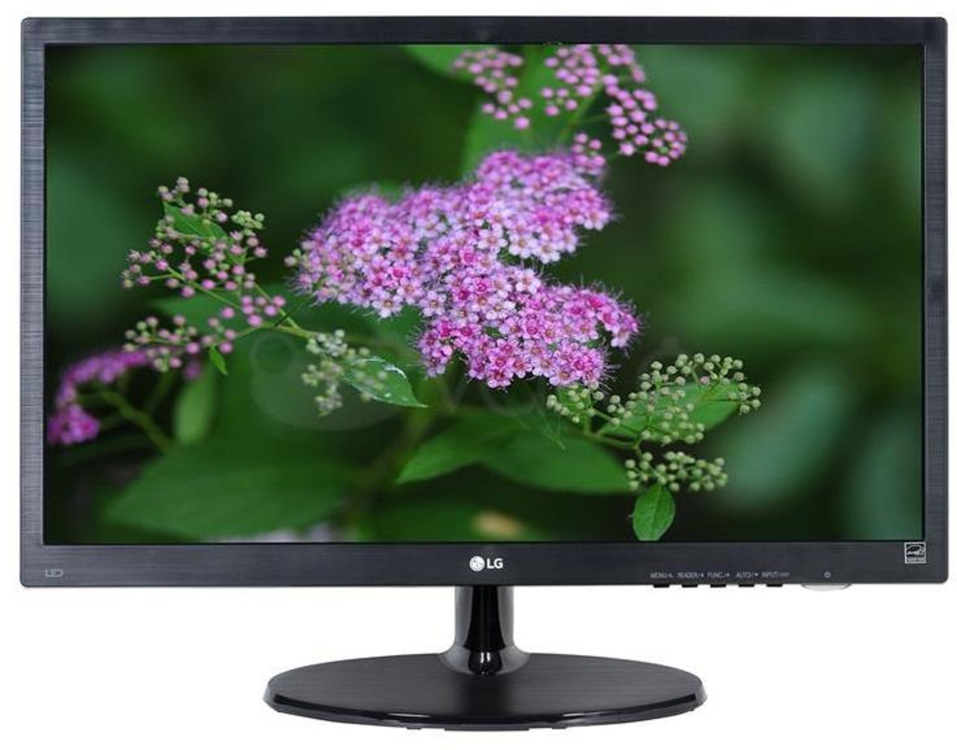 V Grade A LG 24 Inch FULL HD LED MONITOR - D-SUB, DVI-D 24M38D