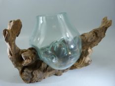 Driftwood sculpture with blown glass bowl