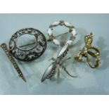 Selection of costume brooches to include a Dragonfly set with mother of pearl wings etc