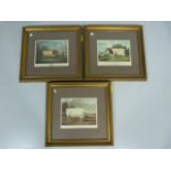 Three framed lithographs of Bulls