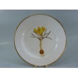 Early Spode 'Flora' Plate Spring Crocus with gold rim.