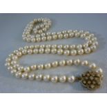 String of Cultured Pearls (approx 115 X 8mm pearls) in a single string with a 14ct white Gold