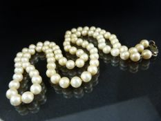 Cultured pearls with 925 clasp