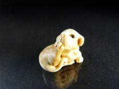 Netsuke: Carved Ivory Netsuke of a puppy.