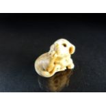 Netsuke: Carved Ivory Netsuke of a puppy.