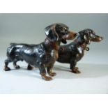 Cold painted Bronze figures of Daschunds. signed Geschutzt.