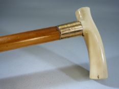 Antique Walking cane with hallmarked gold band. Hallmarks Rubbed. Dated 1906.