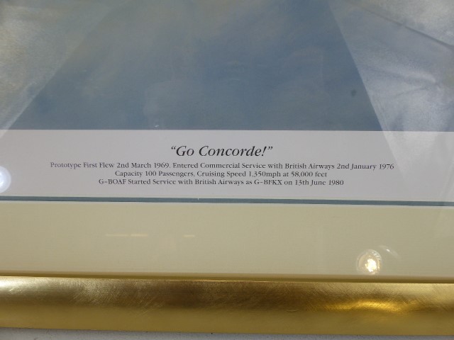 Limited edition print entitled "Go Concorde" number 389/750 by Ian Wilson-Dick 2001. Signed in - Image 3 of 6