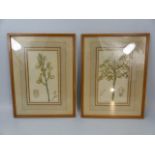 Two Small Lithographs by Barclay depicting flower studies. (2)