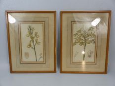 Two Small Lithographs by Barclay depicting flower studies. (2)