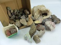 Selection of various fossils and precious stones