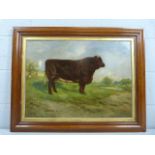 JOHN BEER - Oil on canvas - Depicting Prize Winning Bull 'Marengo (69,068). Signed and dated lower