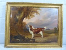 GEORGE JACKSON - British artist. Oil on Canvas depicting Gundog Spaniel in landscape with rabbits