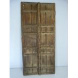 Two antique Moroccan wooden doors with metal fittings