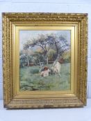 PERCY GRAVELY - Oil on canvas depicting calves in a meadow 'Springtime'. Mounted in a Gilt Gesso