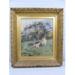 PERCY GRAVELY - Oil on canvas depicting calves in a meadow 'Springtime'. Mounted in a Gilt Gesso