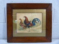 Watercolour depicting Old English Game Cock and Hen. Unsigned and mounted in a mahogany veneer