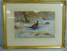 T. Wrigley - 'Pheasants in the Snow' Ken Hill Woods Snettisham. Watercolour. Approx Dimensions inc